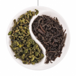 Sự khác nhau giữa trà xanh và đen